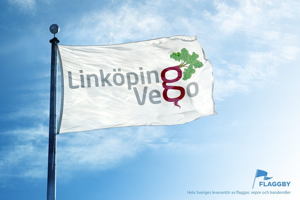 Linköping Vego